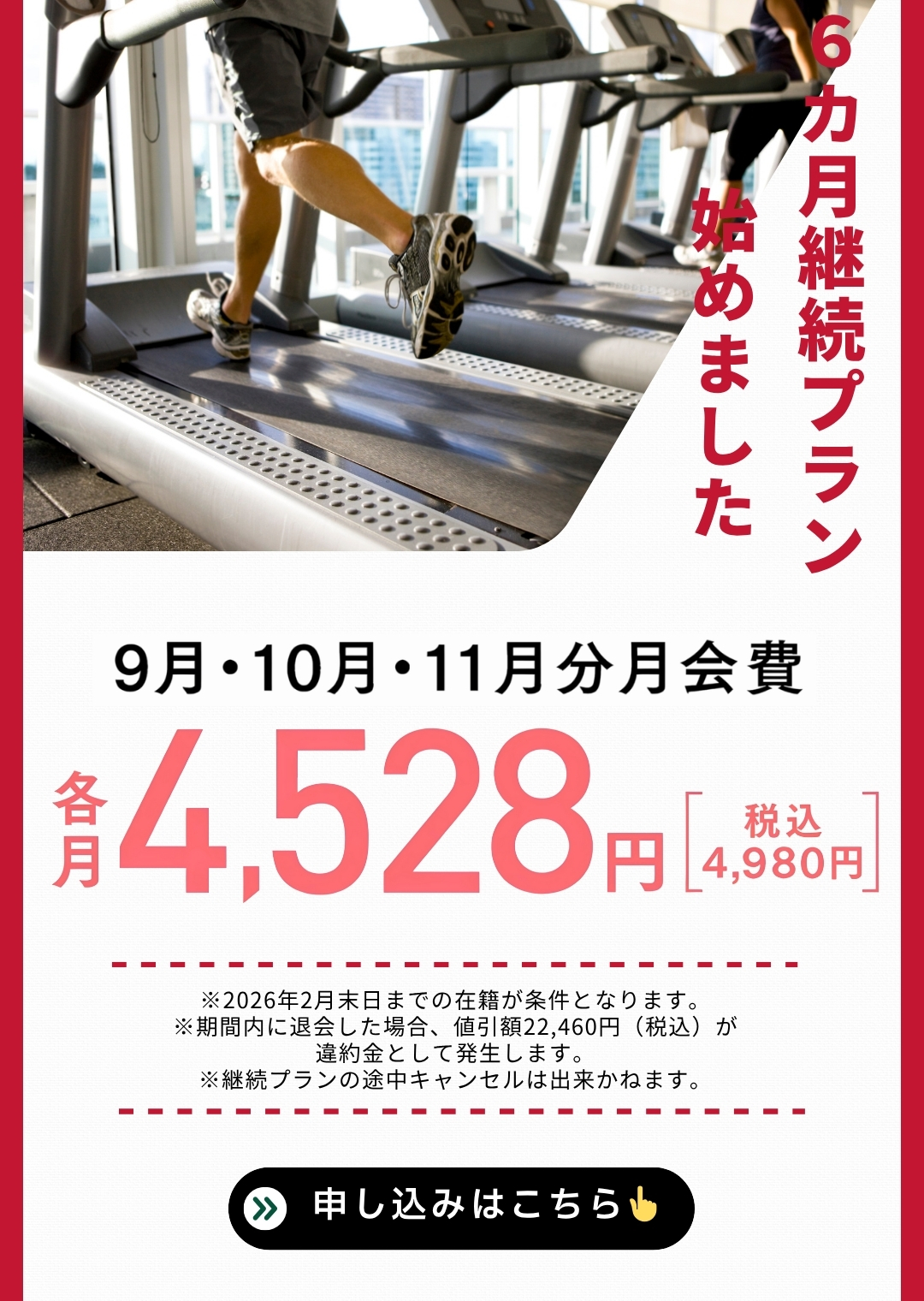 8周年記念キャンペーン（6ヶ月継続プラン）